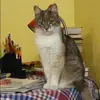 Отзыв от Клара Шарова